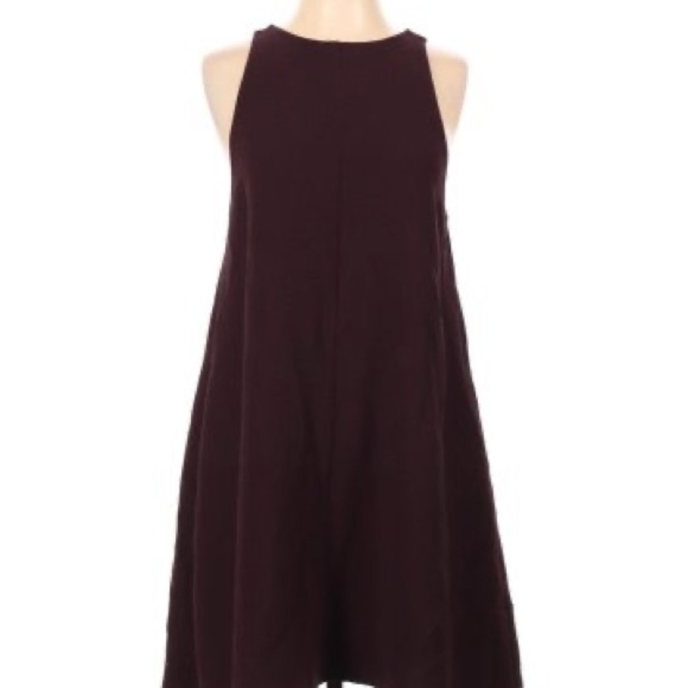 Aritzia Swing Dress
